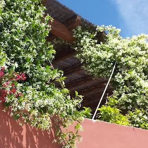 Bed & Breakfast Gato Preto De - Adults Only, Silves